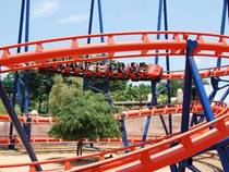 Busch Gardens in Tampa, Florida